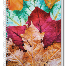 Caderno 200 Folhas 10 Matérias Capa Dura Natureza Pauta Branca