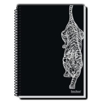 Caderno 96 Folhas 1 Matéria CD Rox Masculino Pauta Branca Caderno 96 Folhas 1 Matéria CD Rox Masculino Pauta Branca