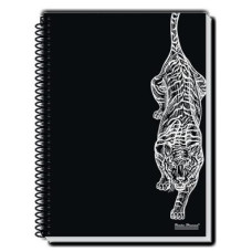 Caderno 96 Folhas 1 Matéria CD Rox Masculino Pauta Branca Caderno 96 Folhas 1 Matéria CD Rox Masculino Pauta Branca