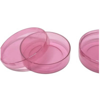 Latinha Plástica 5x1 com 10 Unidades Rosa Pink Translucido Ultra Megaton