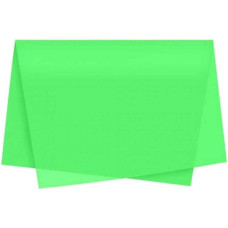 Papel de Seda 48cmx60cm com 100 Unidades Verde Claro VMP