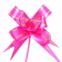 Laço Fácil 18mm com 10 Unidades Pink com Fio Dourado