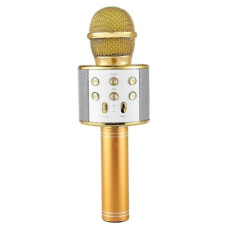Microfone Sem Fio Karaoke Wireless MT-1036 Tomate