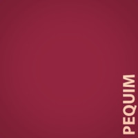 Papel Color Plus A4 180G Pequim 5 Folhas Ultra Megaton