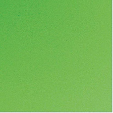 Placa de EVA Lisa 400X480mm Verde Grama