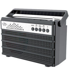 Radio Portátil Bluetooth D-Y13 Grasep Dourada