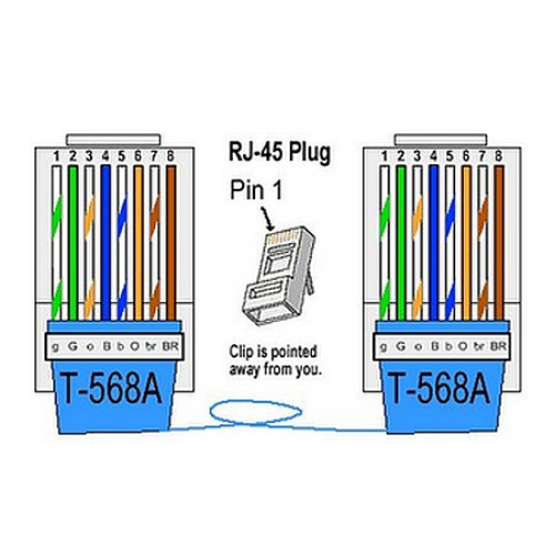 Conector RJ45 Cat5e Blindado Com 50 Unidades Canoas RS keystone cat5e wiring diagram 